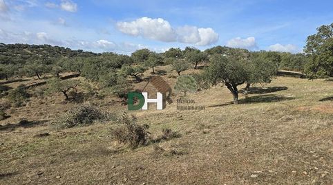 BadajozTerreno, imatge 3