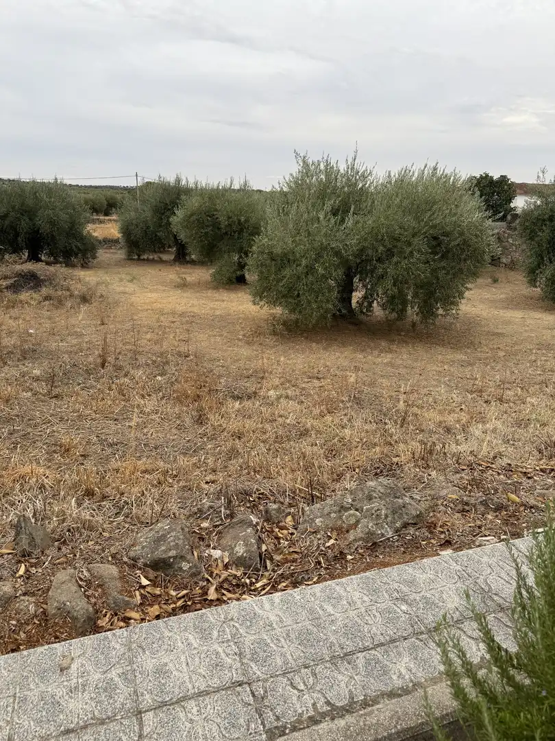Terreno en venta en Villamesías