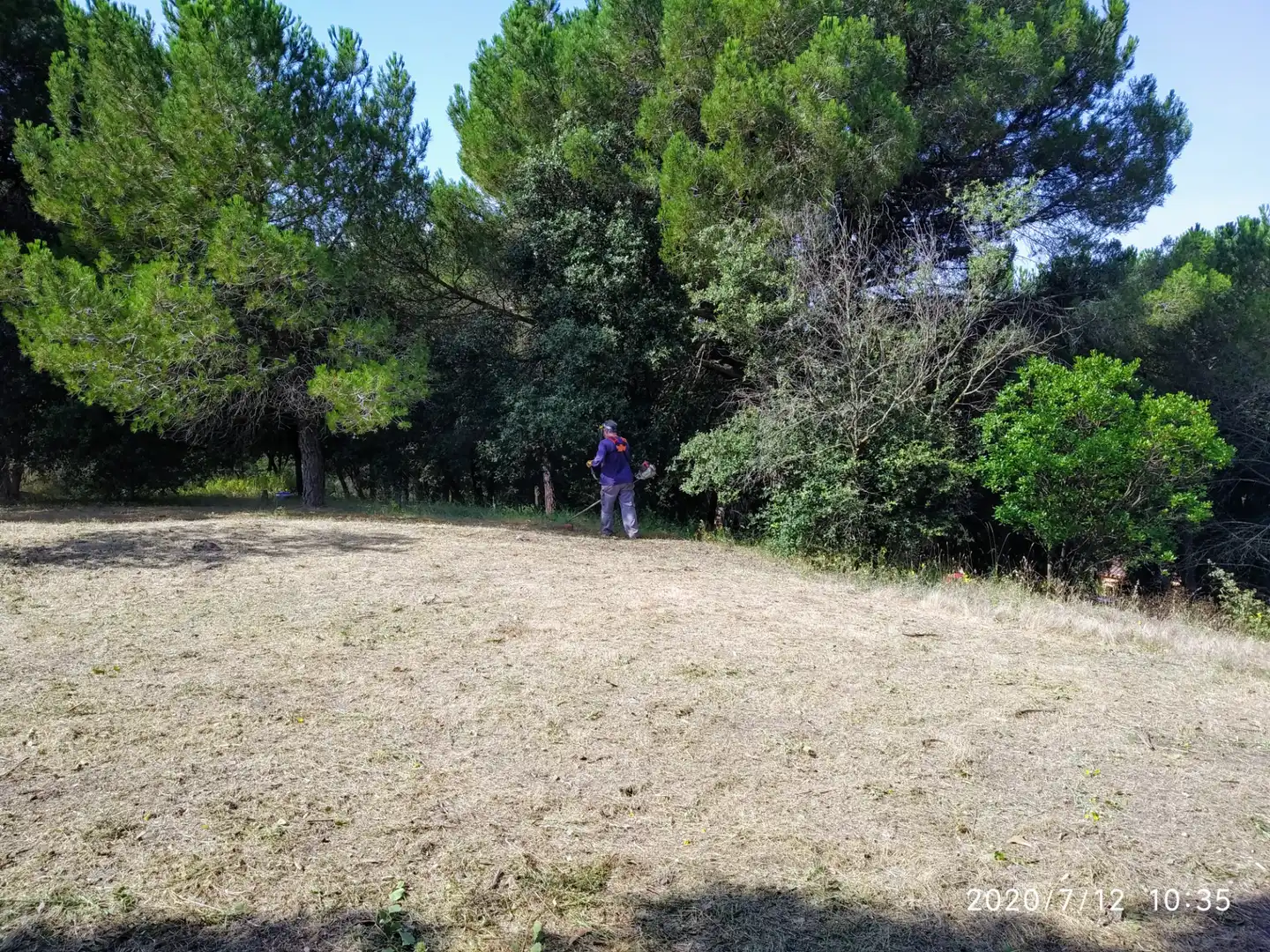 Residential land for sale in Carrer de Sant Bernat 72, imagen 5