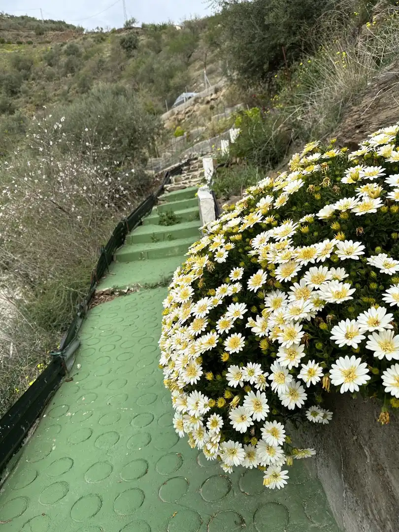 Casa rustica con piscina in vendita a Vélez-Málaga ciudad, imagen 25