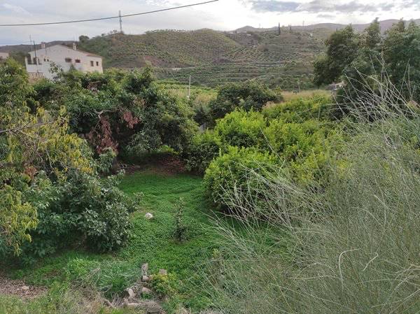 Terreno en Venta en Benamargosa