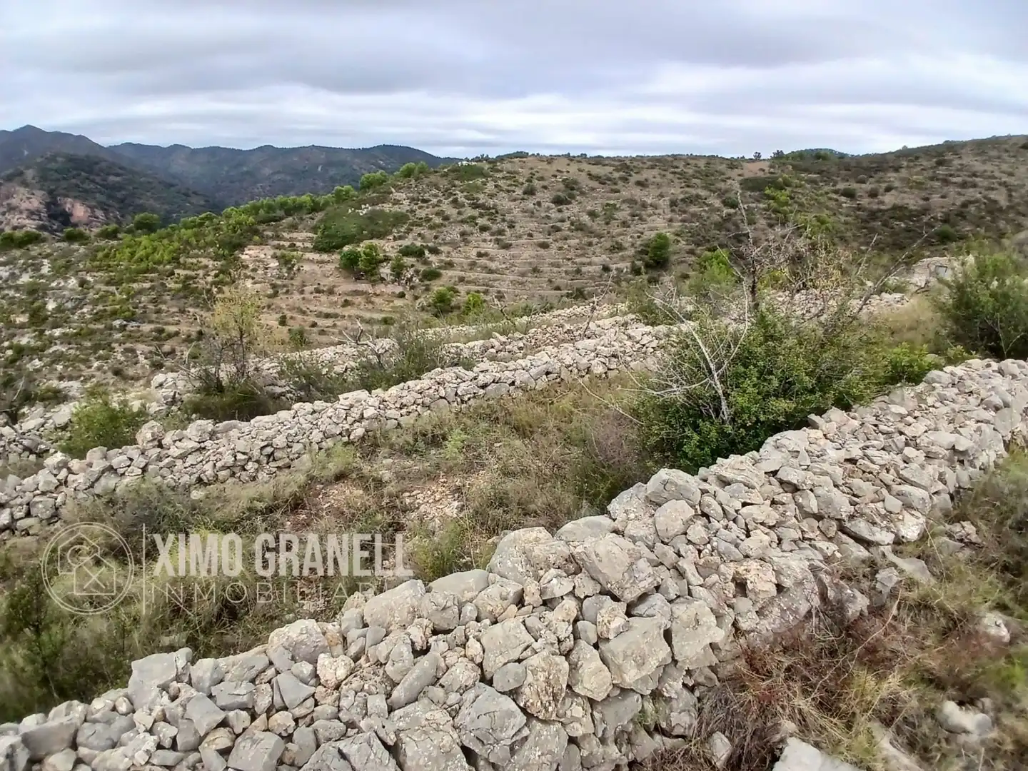 Terreny rústic en venda a La Vall d'Uixó, imagen 5