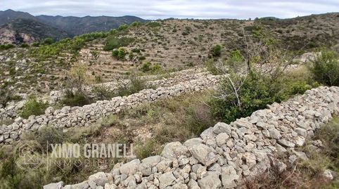 PARCELA RUSTICA DE 16.157m EN LA PARTIDA PEÑALBA DE LA VALL DUIXÓ, immagine 5