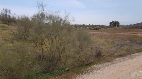 Photo 5 of Land for sale in Partido del Barrancón, Pol.61, Par.92, 61, Jauja, Lucena