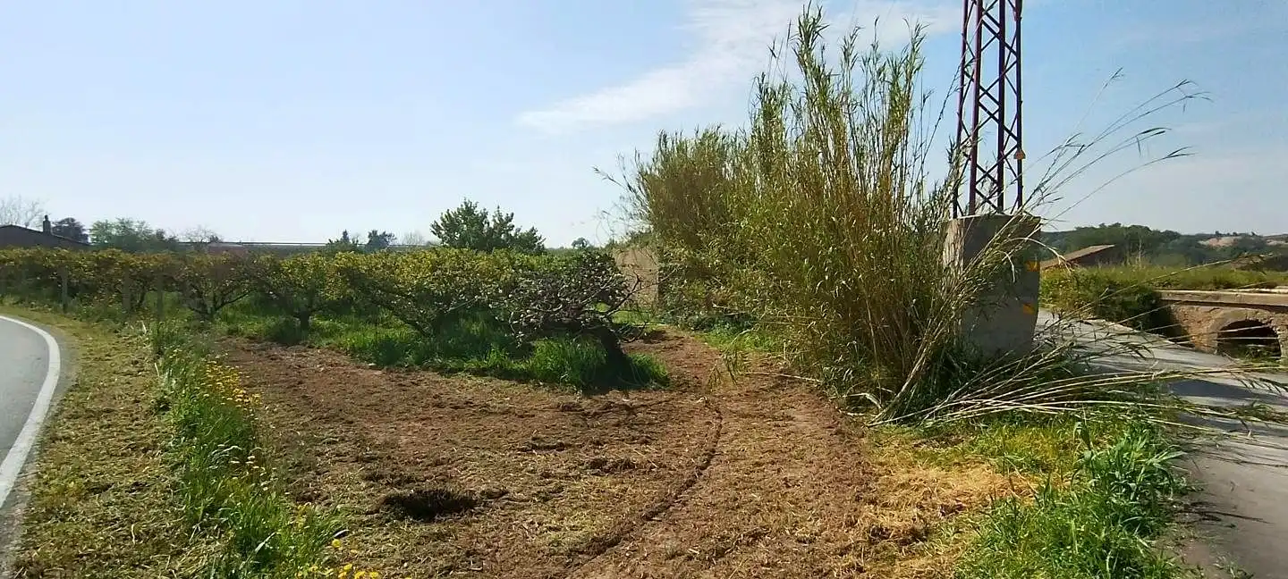Lands and plots for sale in Roquetes, imagen 17