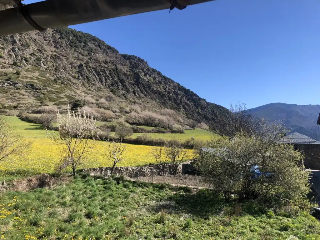 Jardín de Casa o chalet en venta en Espot