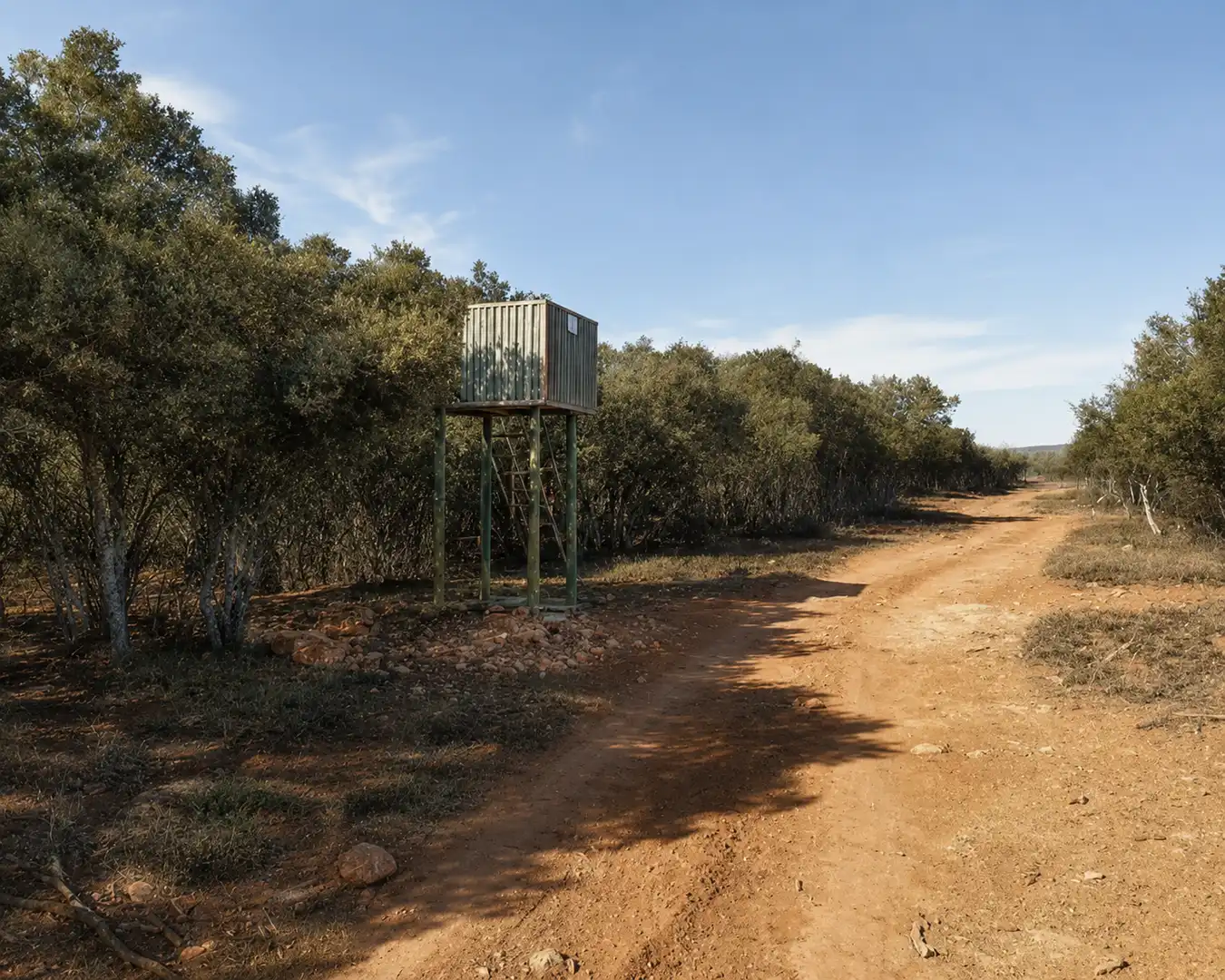 Vista exterior de Casa o xalet en venda en Ciruelos de Cervera