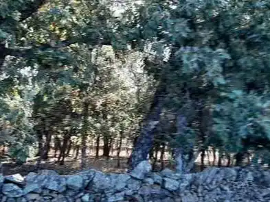 Terreno en venta en Santa Cruz de Paniagua