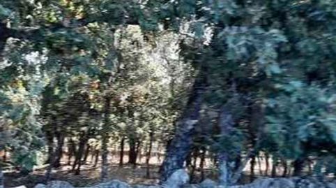 Foto 4 de Terreno en venta en Calle Dios Padre, 17, Santa Cruz de Paniagua, Cáceres