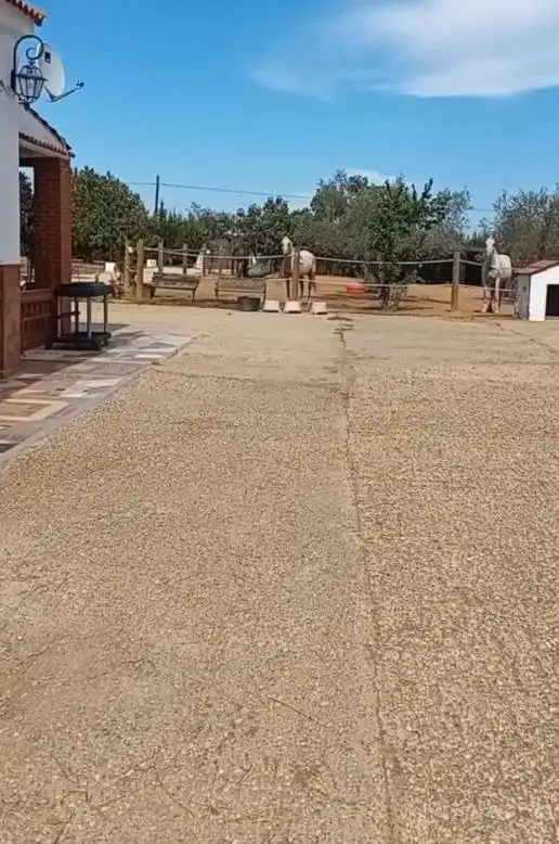 Casa rústica amb piscina en venda a Gibraleón, imagen 29