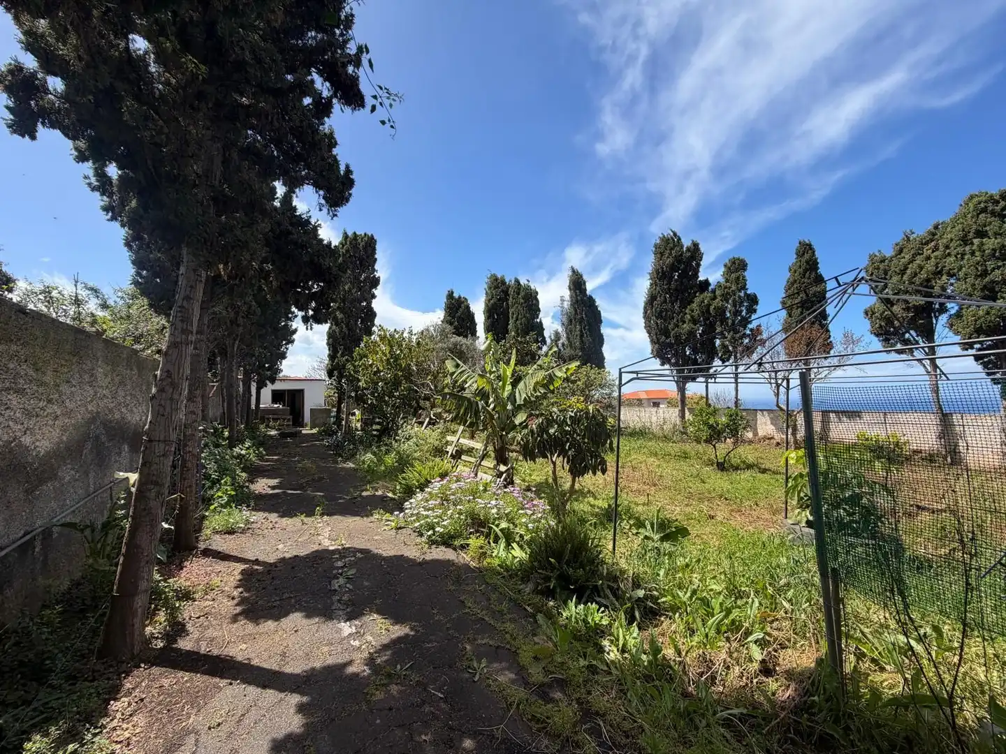 Jardín de Casa o chalet en venta en Tacoronte