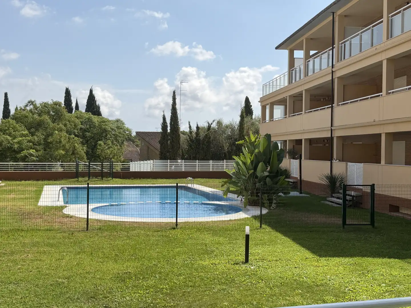 Swimming pool of Flat for rent in Campolivar