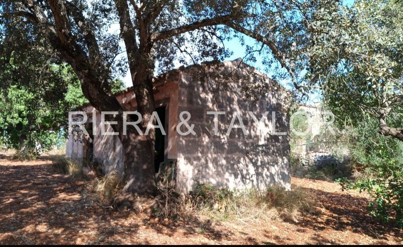 Finca rústica en venda en Petra