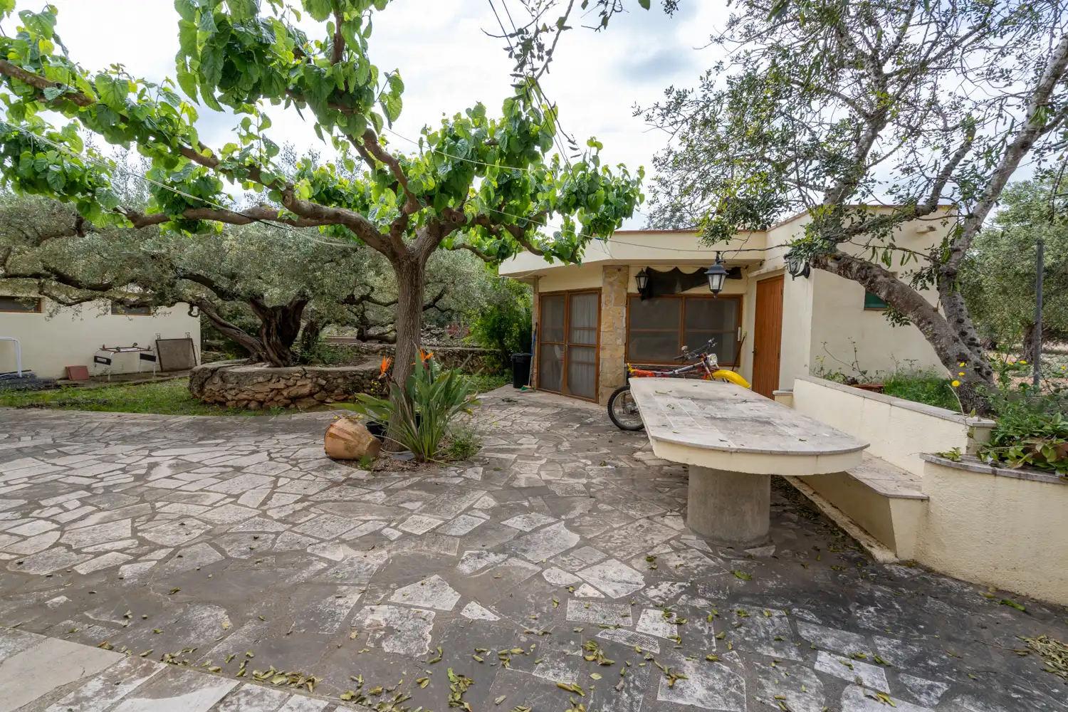 Garden of Houses for sale in Aldover  with Air Conditioner, Private garden and Terrace