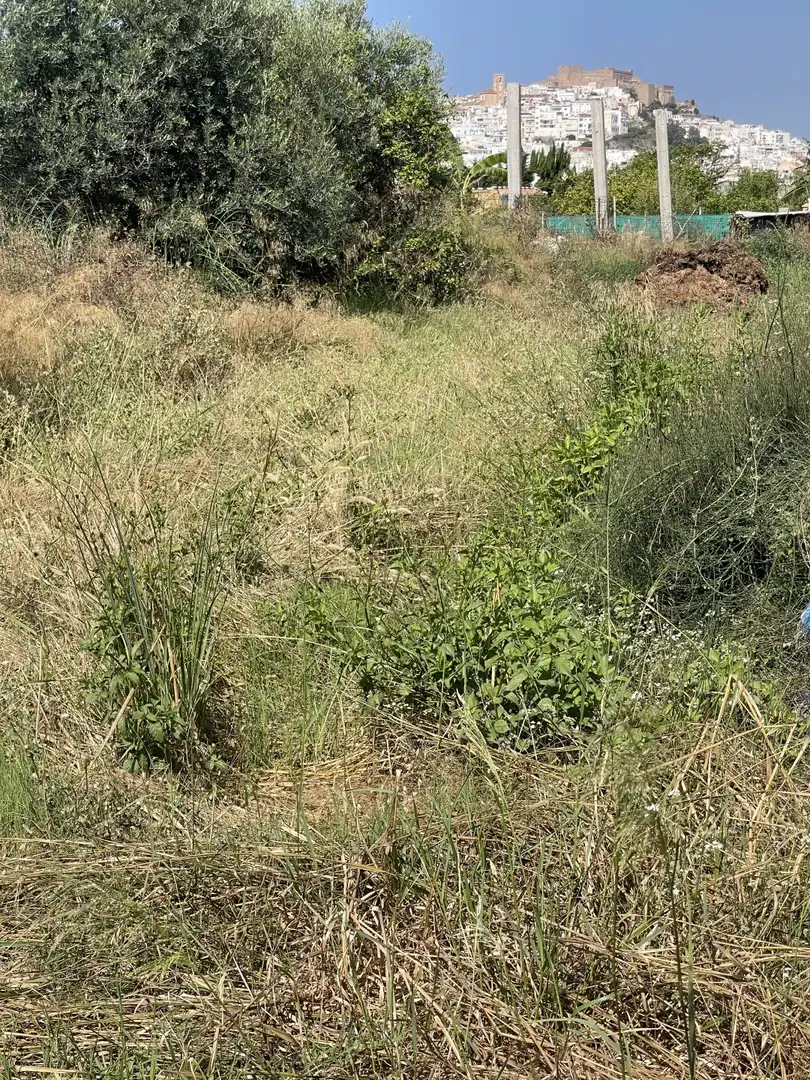 Finca rústica en venta en Salobreña