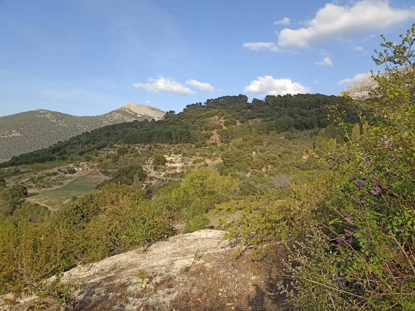 Land for sale in Torres