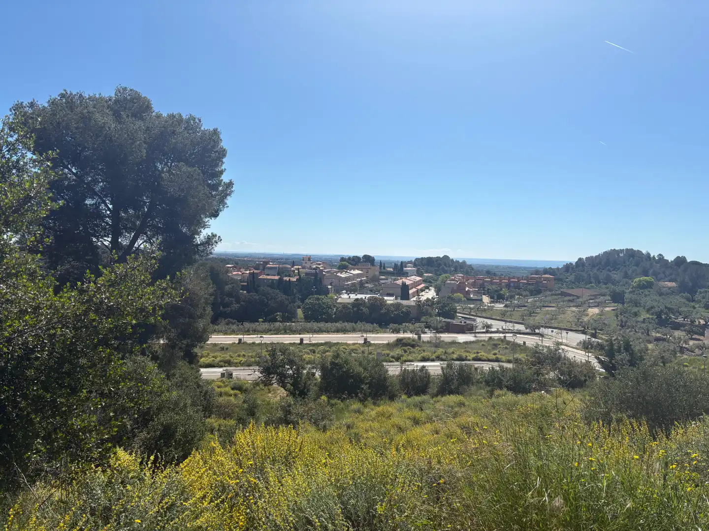 Terreno residenziale in vendita a Carrer de la Bruguera 289, imagen 5