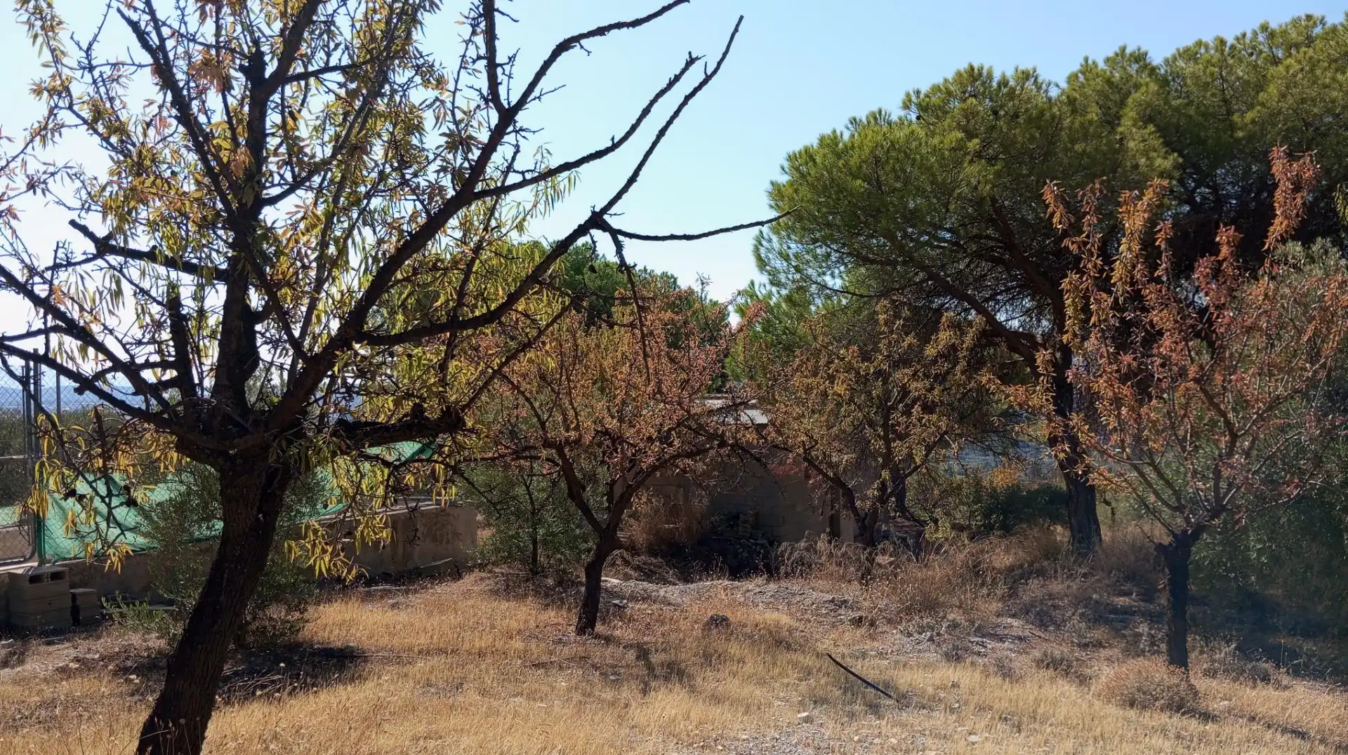 Maison rustique à vendre à Padul, imagen 24