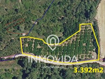 Rural land for sale in Quatretonda