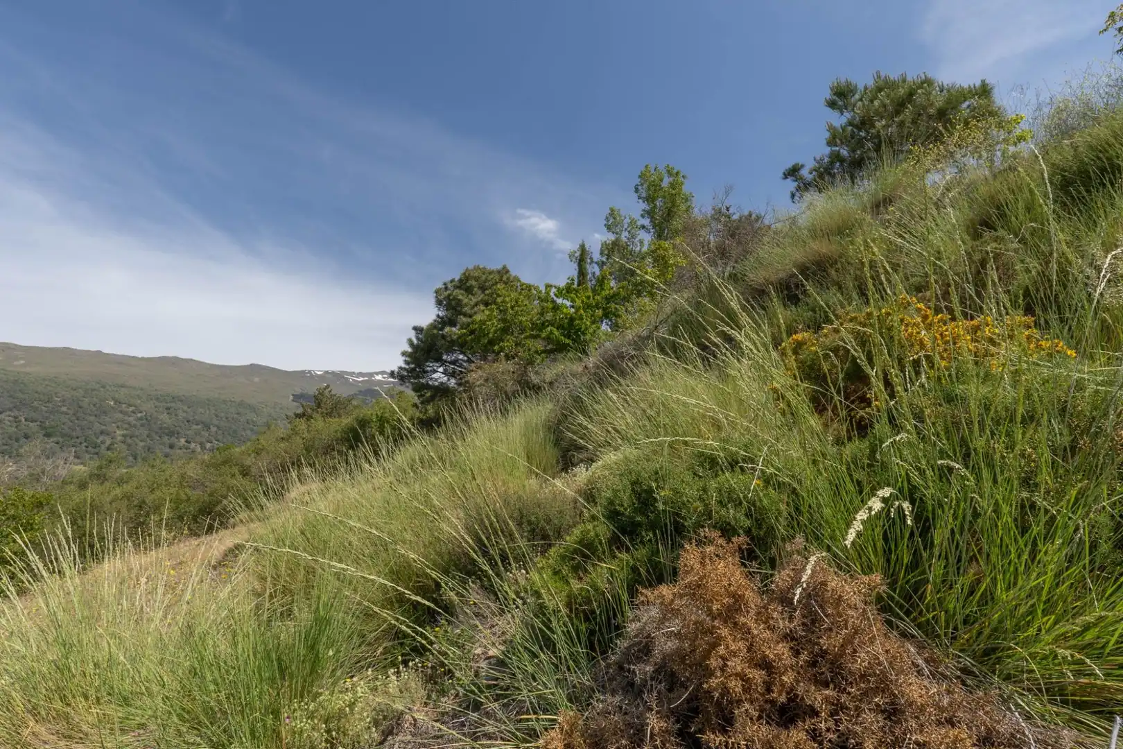 Terreno en venta en Soportújar