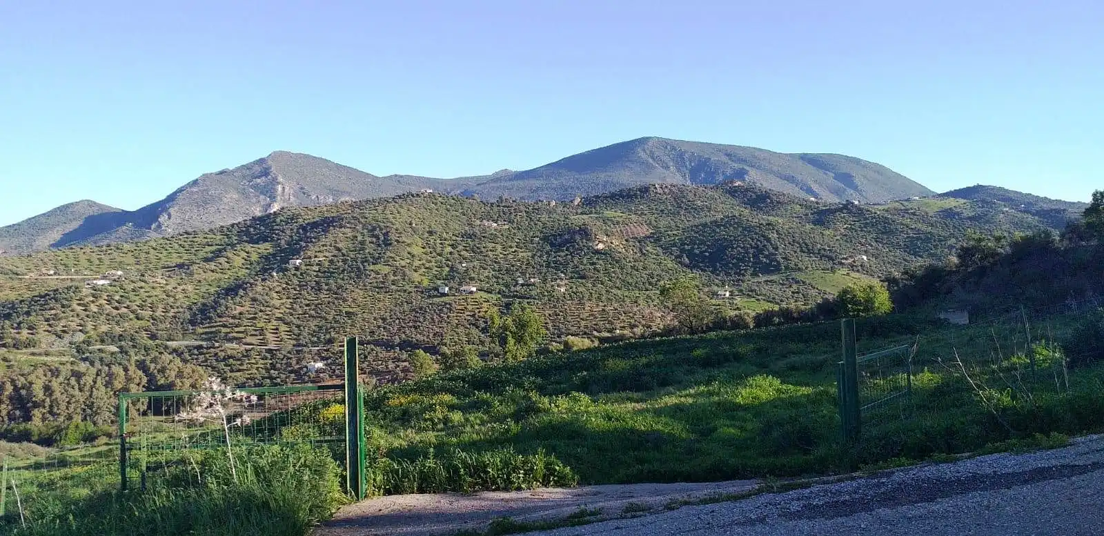 Terreny rústic en venda a Zahara, imagen 10