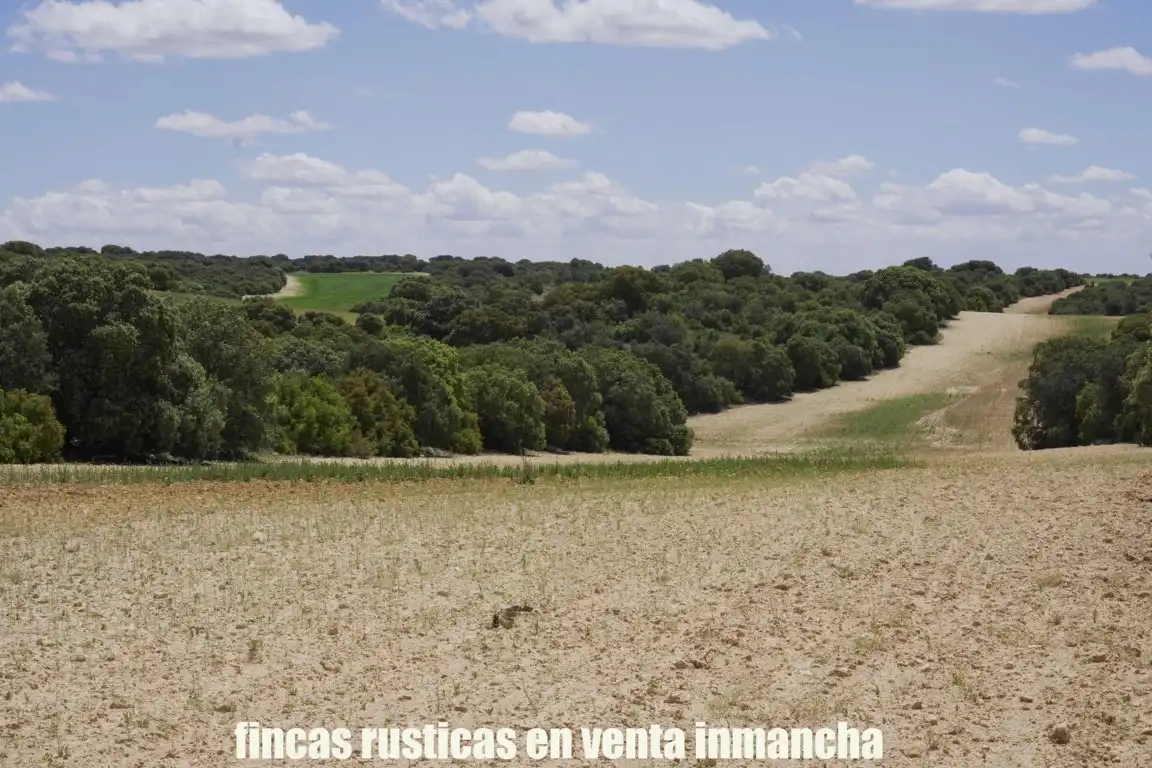 Terreni e lotti in vendita a Belmonte, imagen 25