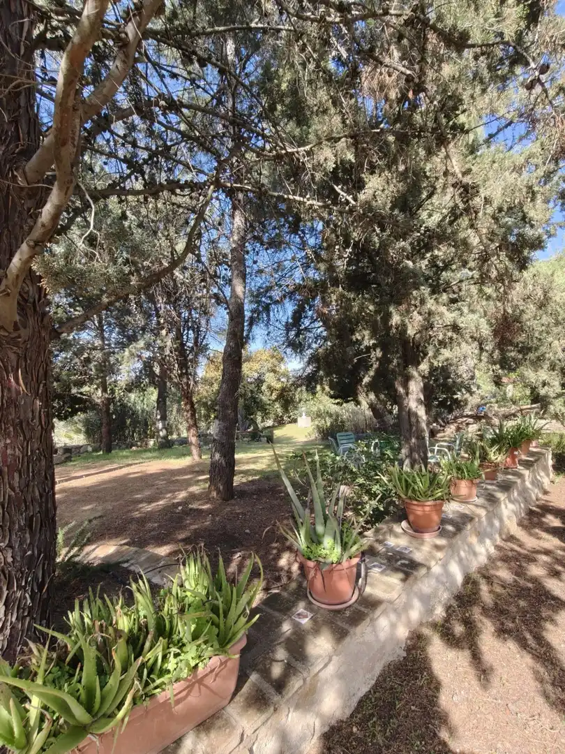 Chalet en venta en CERRO PALOS poligono 45 parcela 63, imagen 37