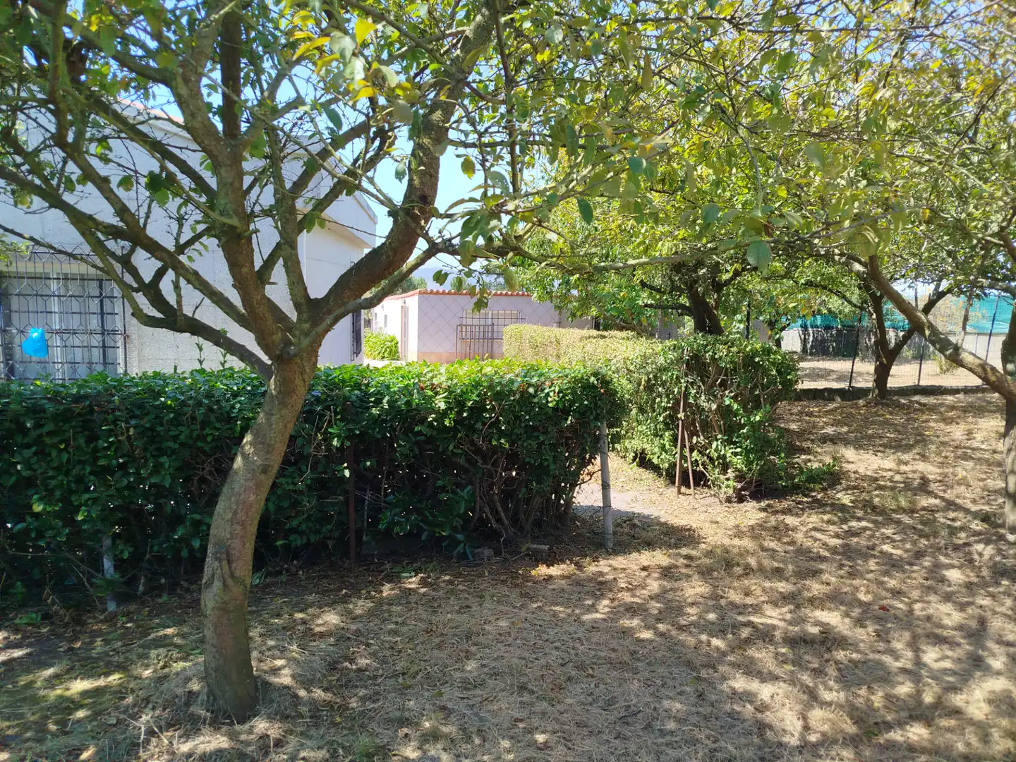 Casa o xalet en venda a Lugar de Rañobre, Oseiro