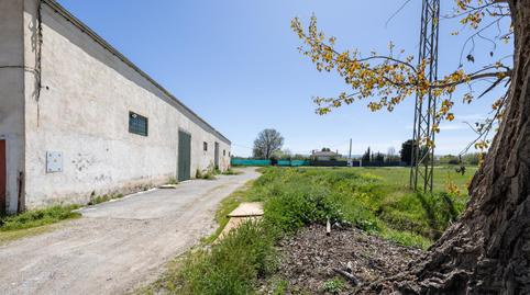 Foto 4 de Finca rústica en venta en Camino Camino de Purchil, 9, Camino de Ronda, Granada