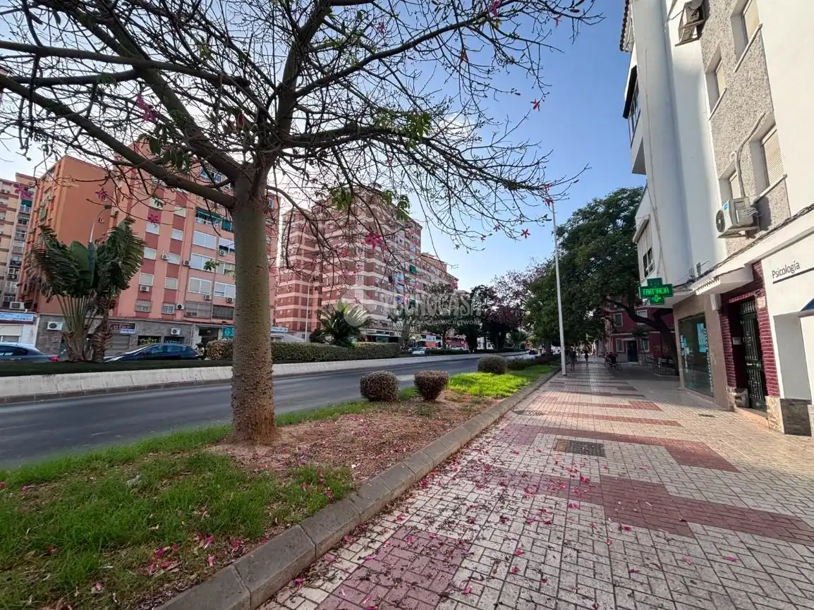 Vista exterior de Piso en venta en Málaga con Aire acondicionado, Parquet y Amueblado