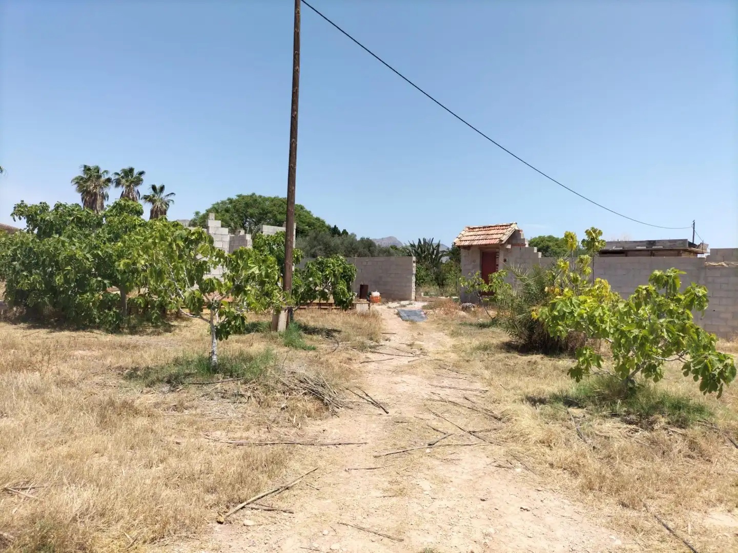 Rural land for sale in La Murada - Los Vicentes, imagen 20