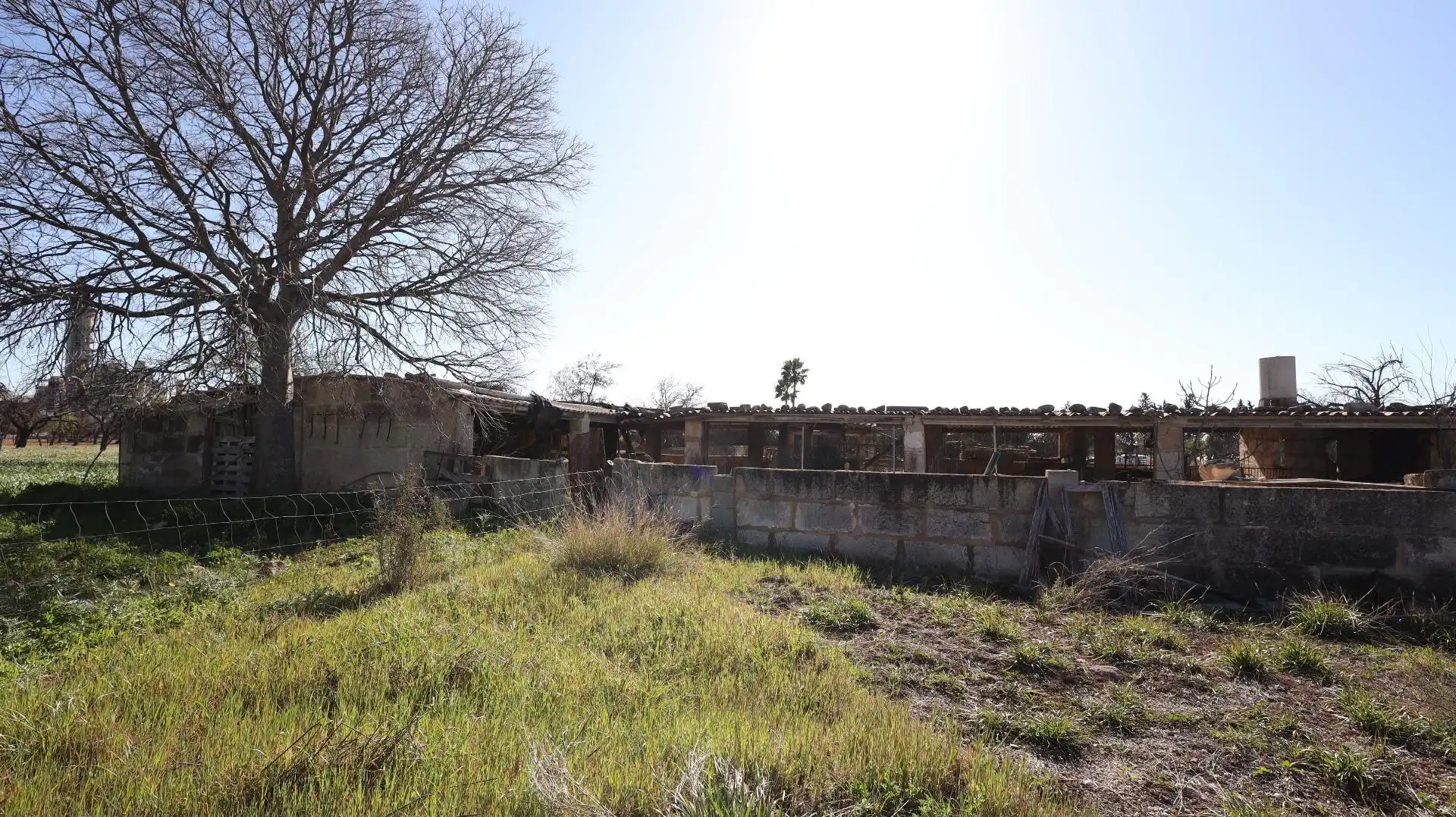 Terreno rustico in vendita a Binissalem, imagen 8