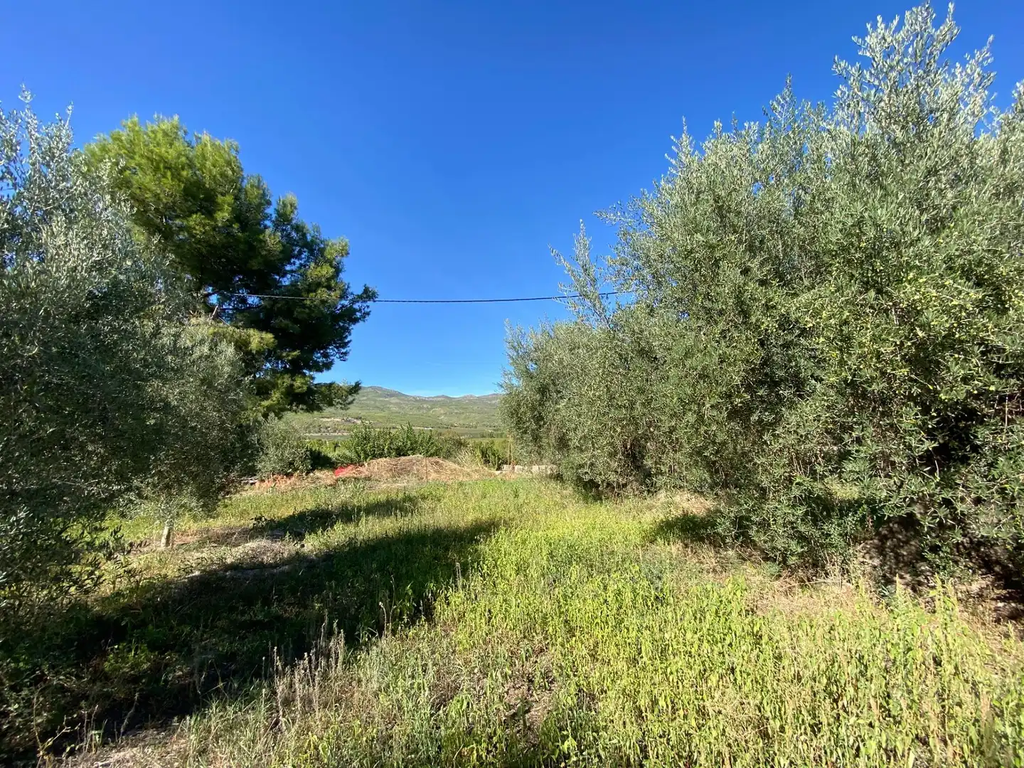 Terrain rustique à vendre à Moratalla, imagen 14