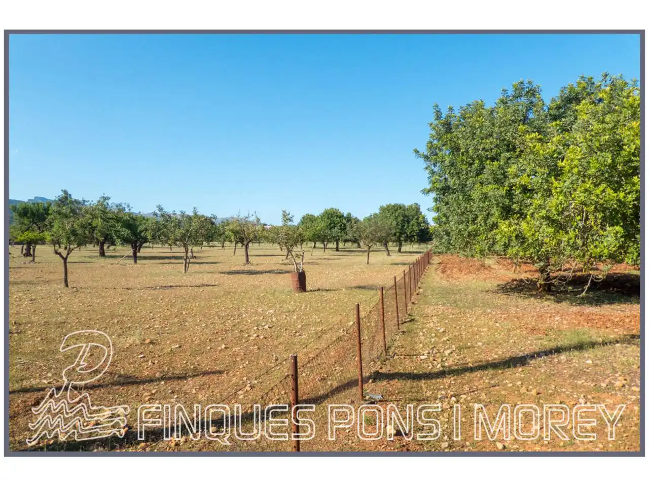 Finca rústica en venda en Campanet