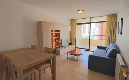 Living room of Flat for sale in Benidorm  with Terrace and Swimming Pool