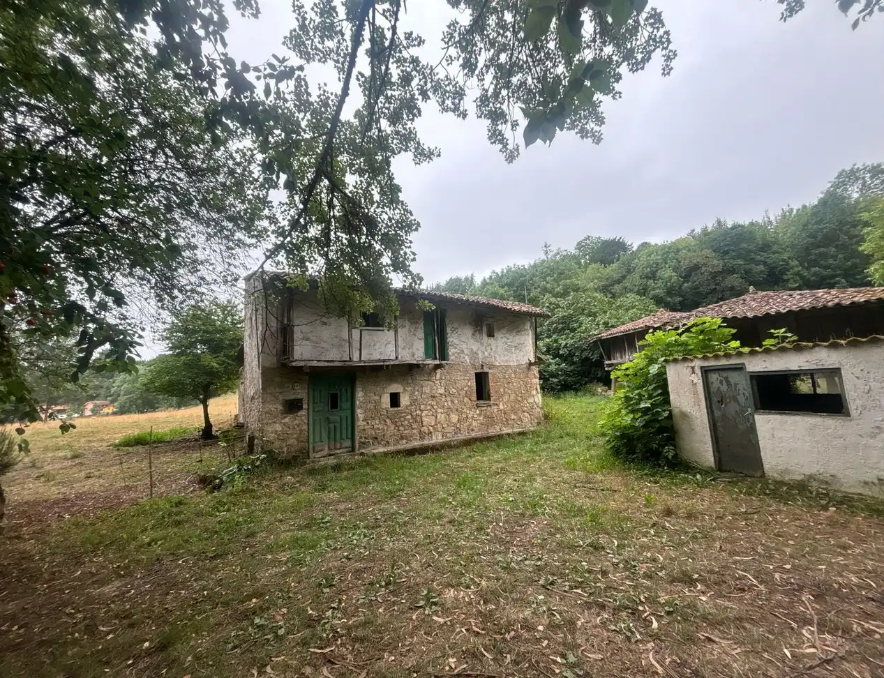 Vista exterior de Finca rústica en venda en Gijón  amb Jardí privat