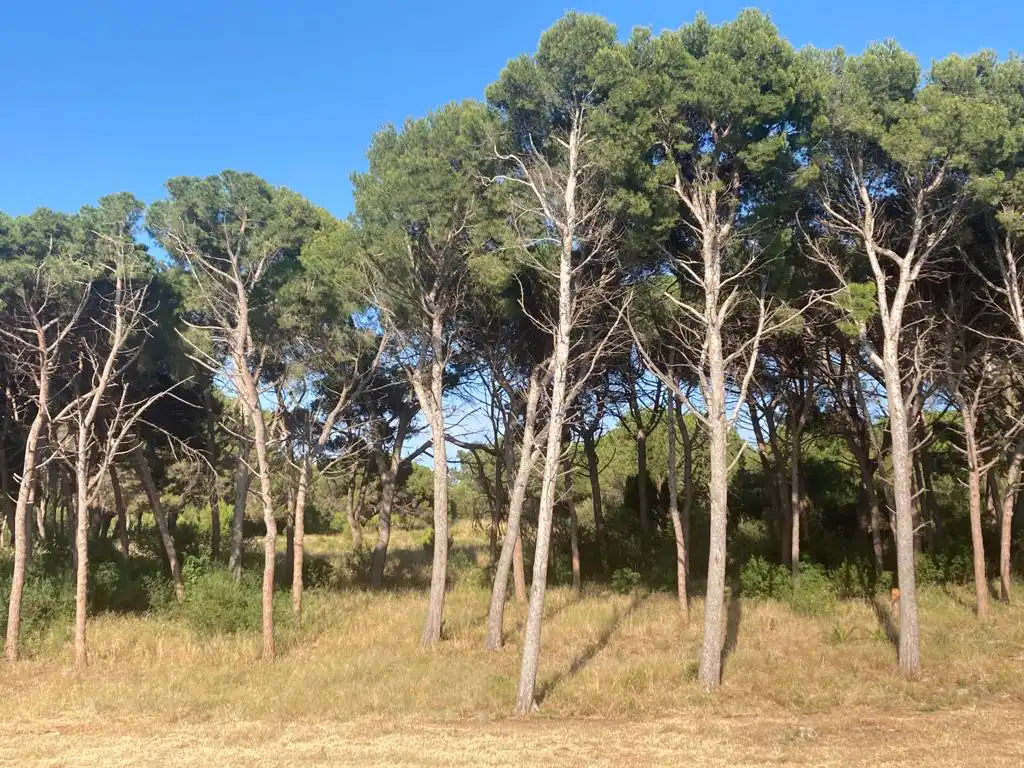 Flat for sale in Passatge Racó del Port 1, imagen 17