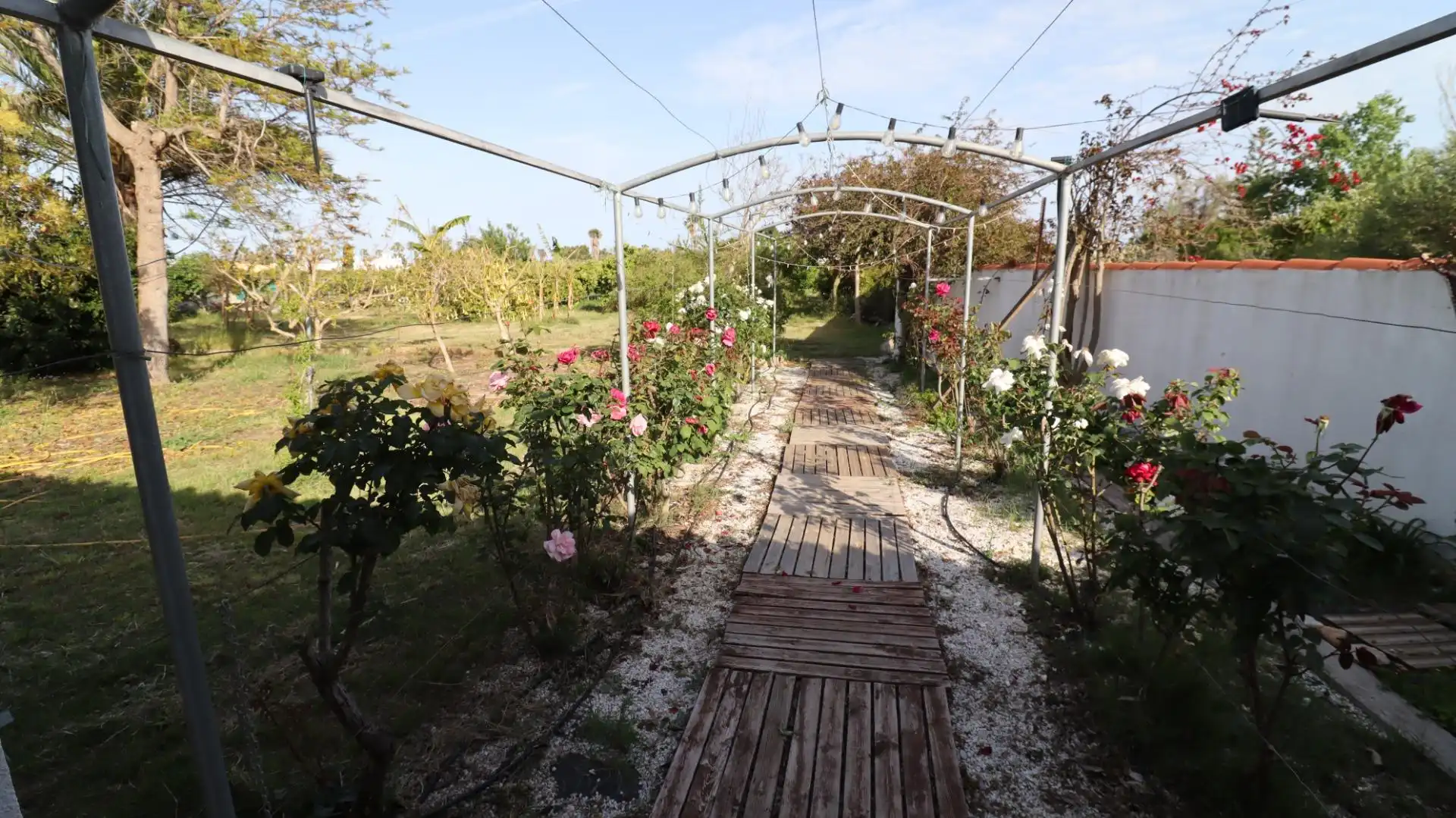 Jardí de Finca rústica en venda en Alcanar amb Jardí privat i Piscina comunitària