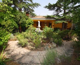 Garden of House or chalet for sale in  Albacete Capital  with Air Conditioner, Private garden and Parquet flooring