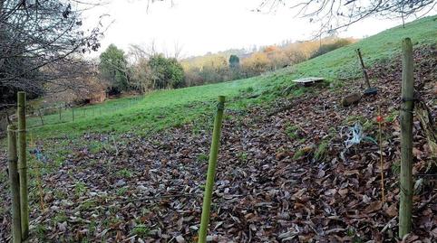 Photo 4 of Country house for sale in Lugar la Cerra, 6, Parroquias Sur - La Manjoya, Asturias