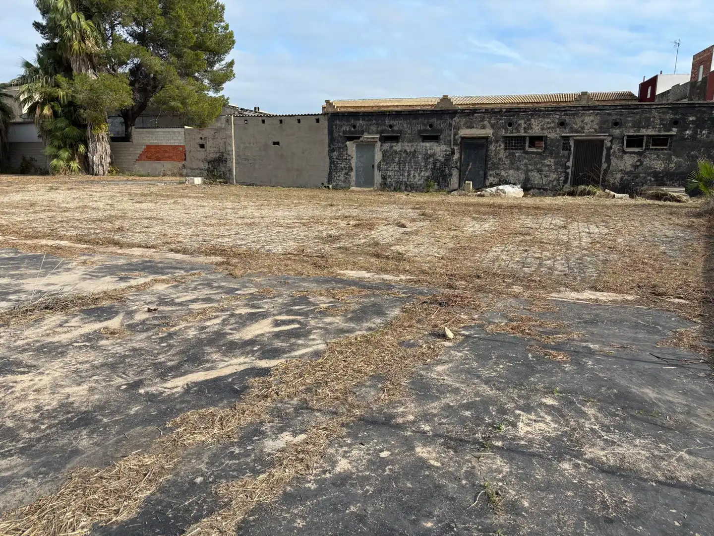 Rural land for sale in Sueca ciudad, imagen 8