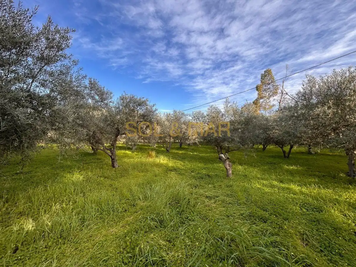 Casa rústica en venta en Nueva Aljaima - Las Tres Leguas - Los Mondeños, imagen 16