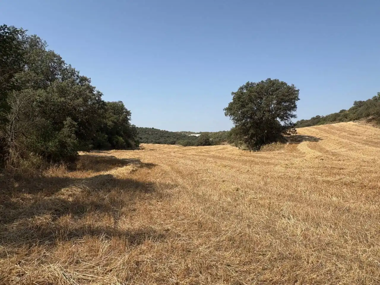 Terreno en venta en San Esteban de Litera