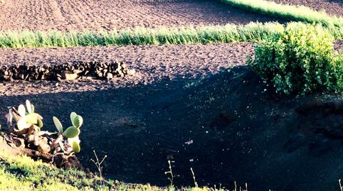 Foto 3 de Terreno en venta en Máguez, Haría