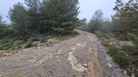 Foto 2 de Residencial en venda a Proc. Simplificado, Altura, Castellón