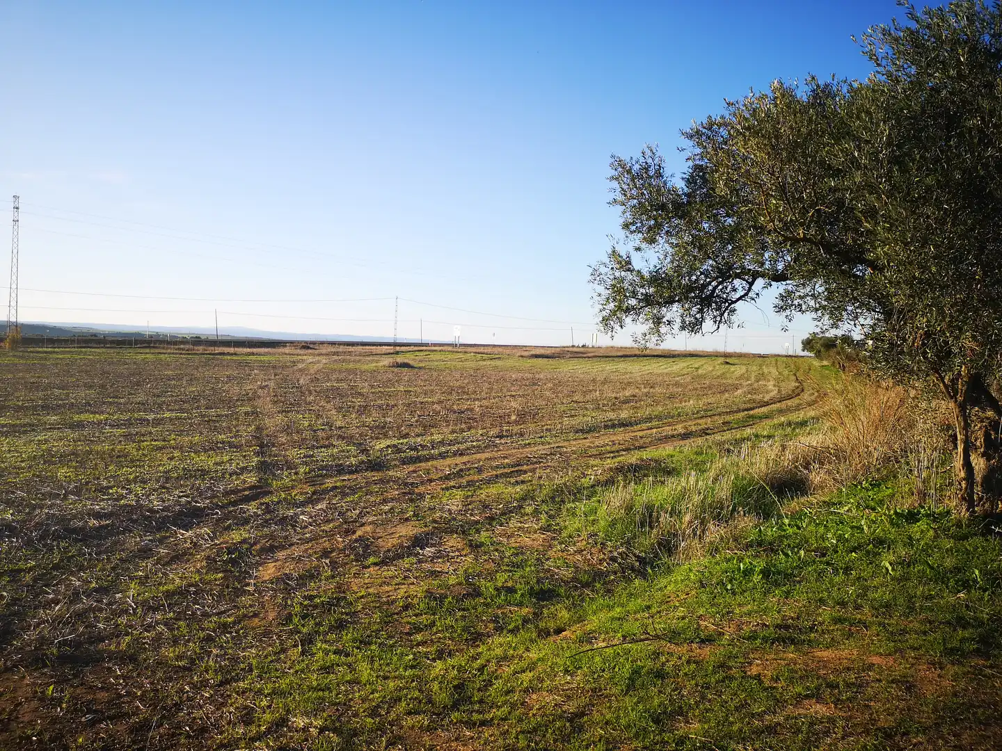 Residencial en venta en Polígono 49, Olivenza
