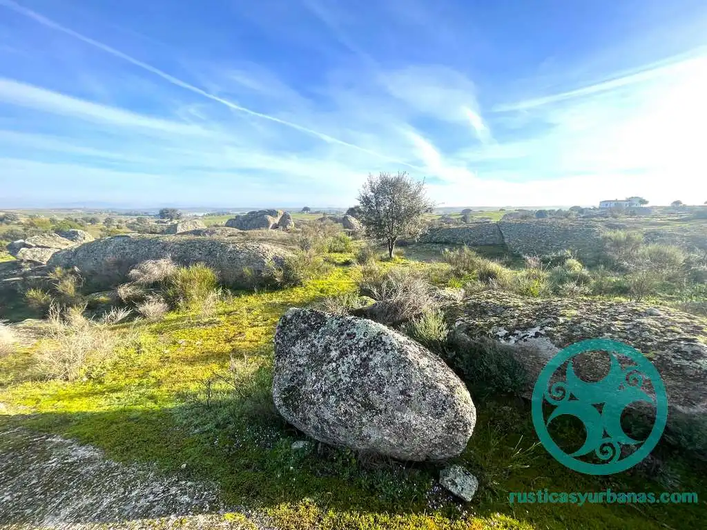 Terreni e lotti in vendita a Casar de Cáceres