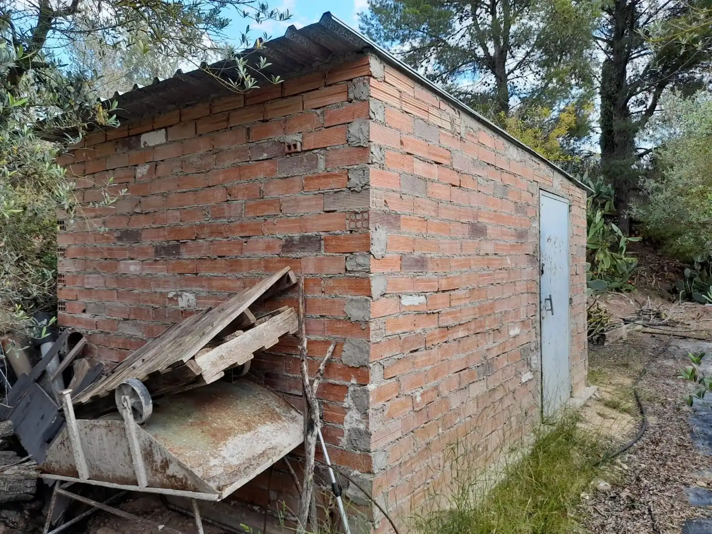 Terreno rústico en venta en Ascó, imagen 11