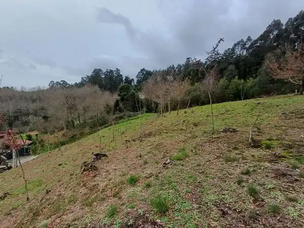 Terreno residenziale in vendita a Rua Pintelos, imagen 4