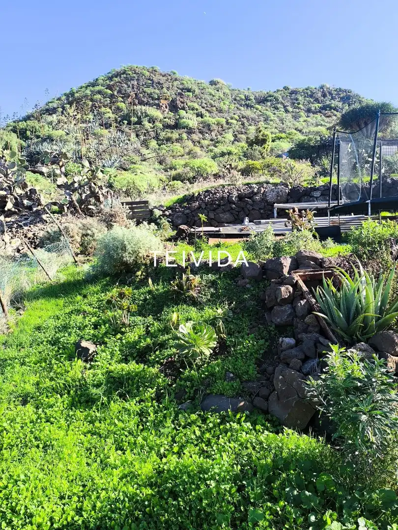 Flat for sale in San Cristóbal de la Laguna  with Private garden and Furnished